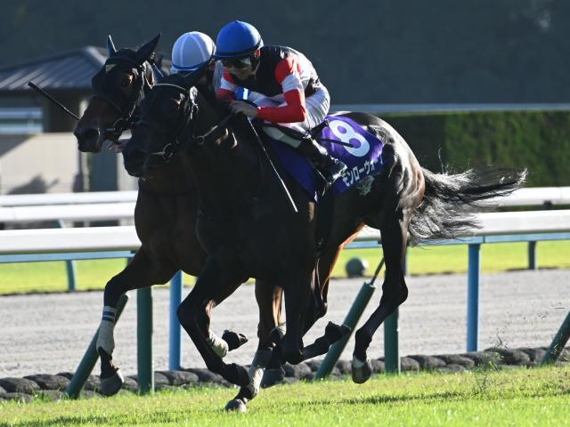 秋華賞2026 優勝馬モンローウォーク