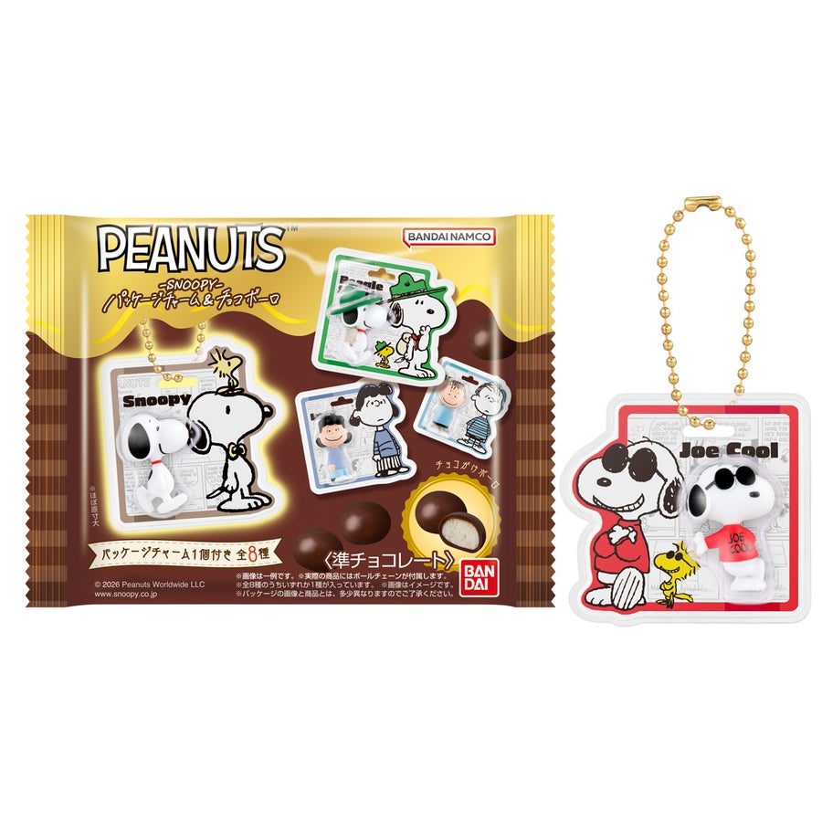 PEANUTS SNOOPY パッケージチャーム&チョコボーロ
