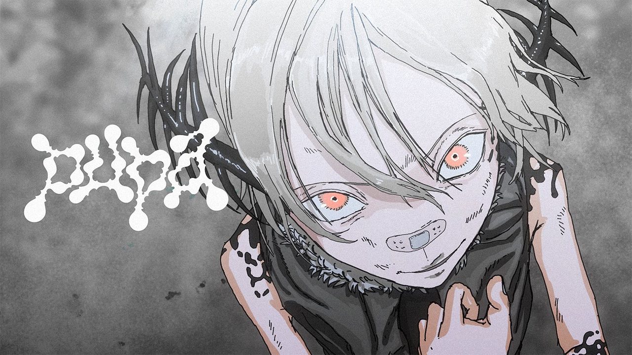 なとり「pupa」のジャケット画像