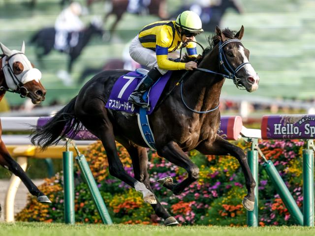 天皇賞秋2026に向かう連覇を狙うマスカレードボール