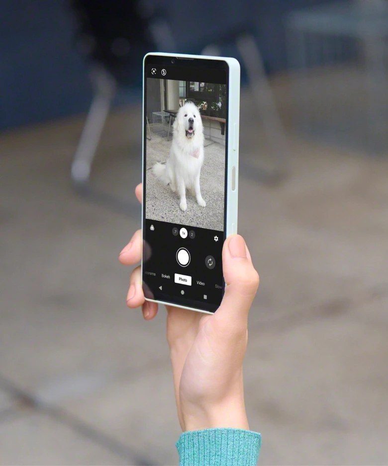 Xperia 10 VIII のカメラ画面で犬を撮影している公式画像